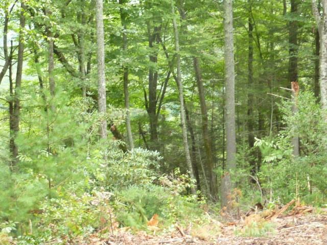 240 Thunderhead Drive Property Photo 7