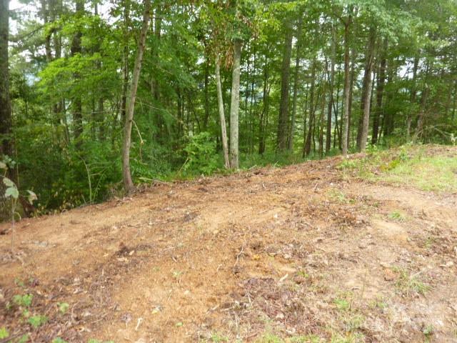 240 Thunderhead Drive Property Photo 11