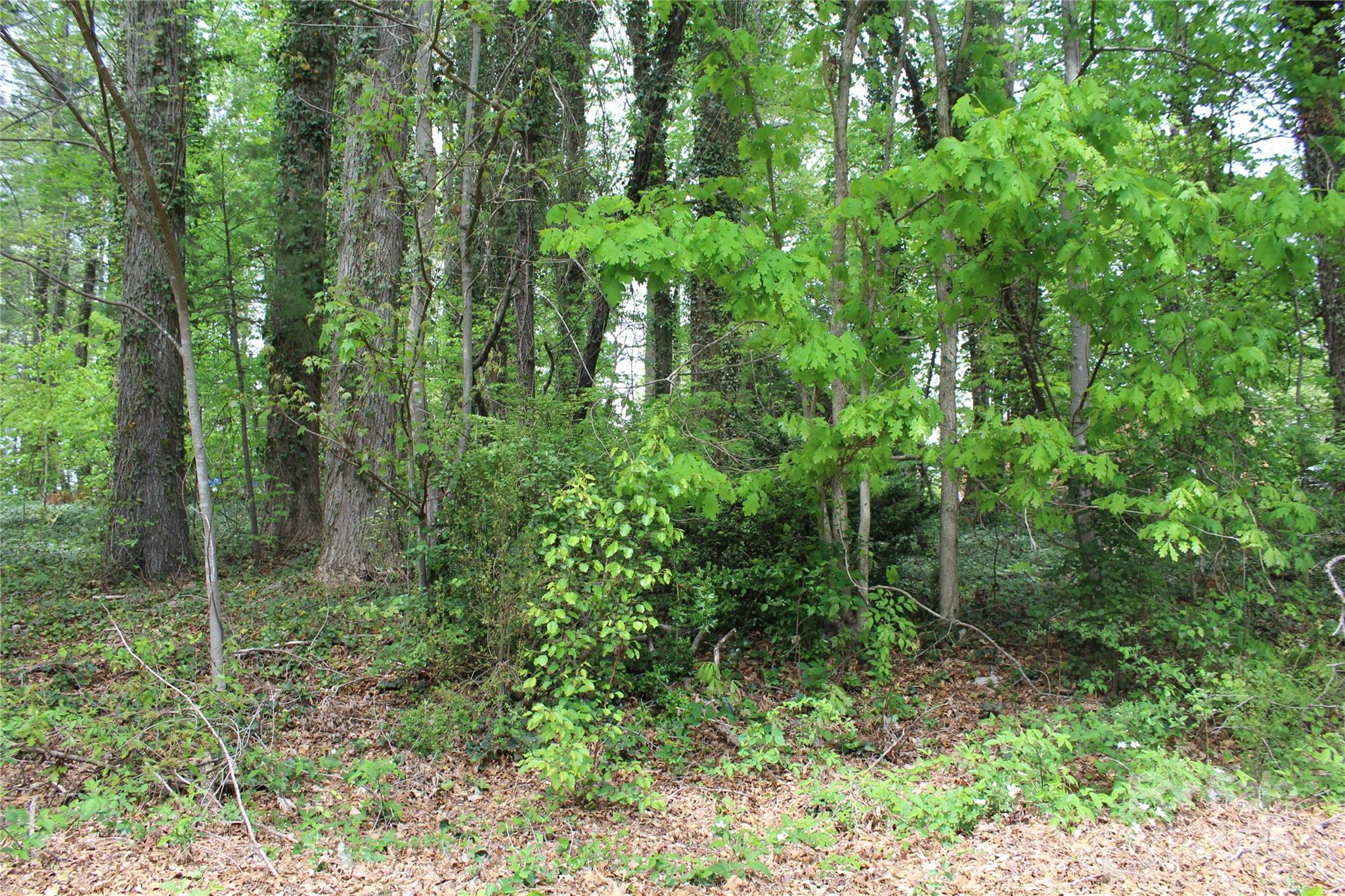 Burke County Real Estate Listings Main Image