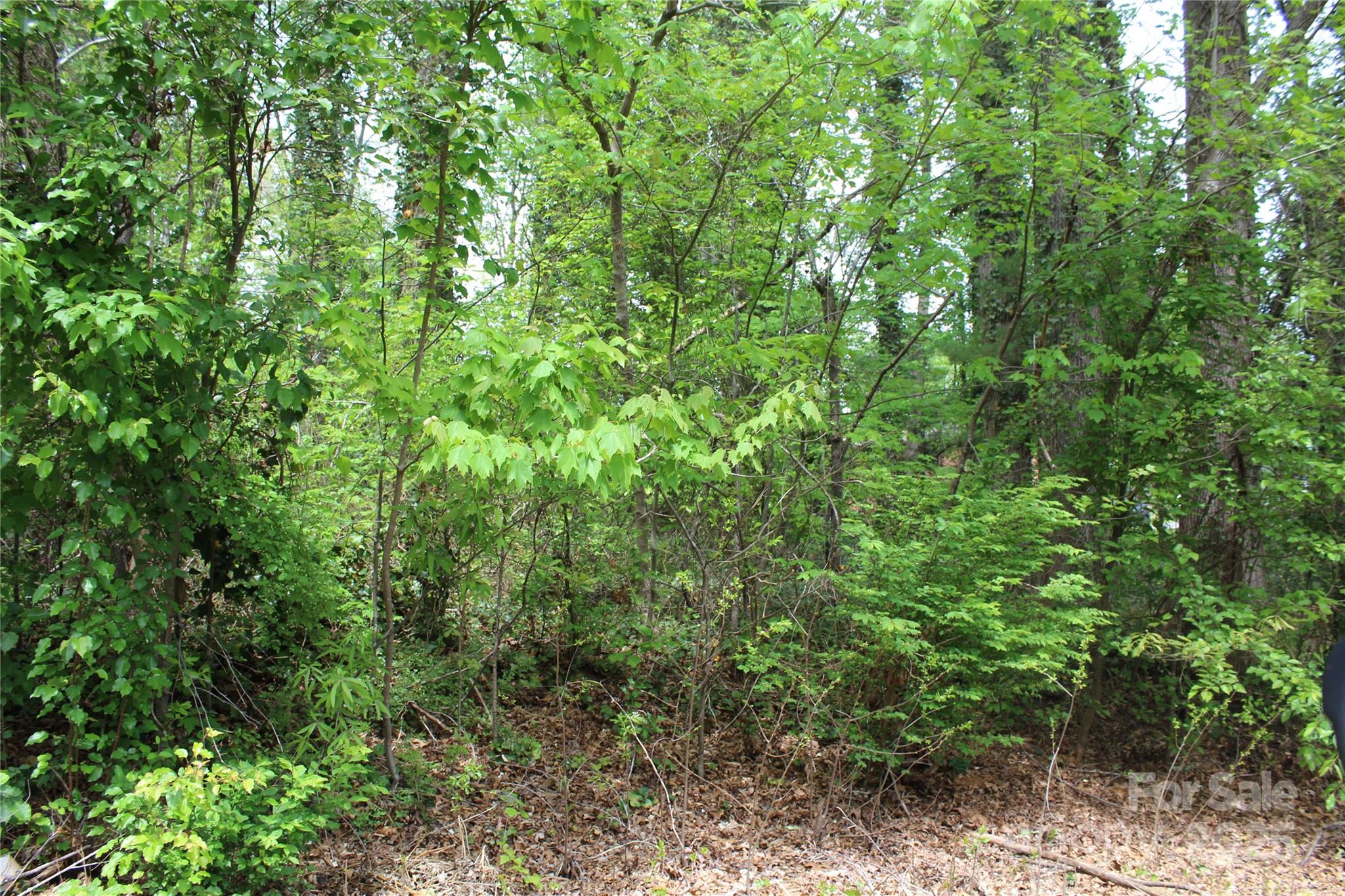 215 Edgewood Circle Property Photo 2