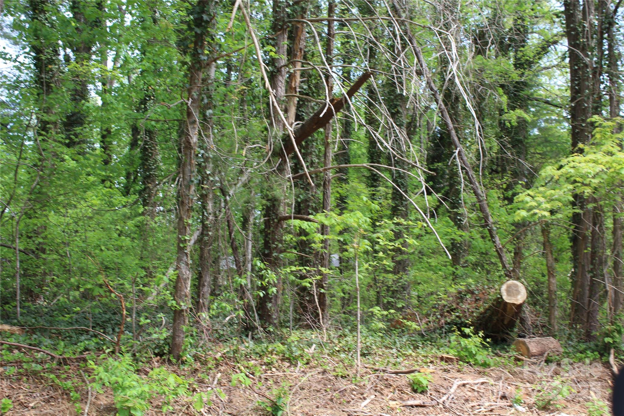 215 Edgewood Circle Property Photo 3