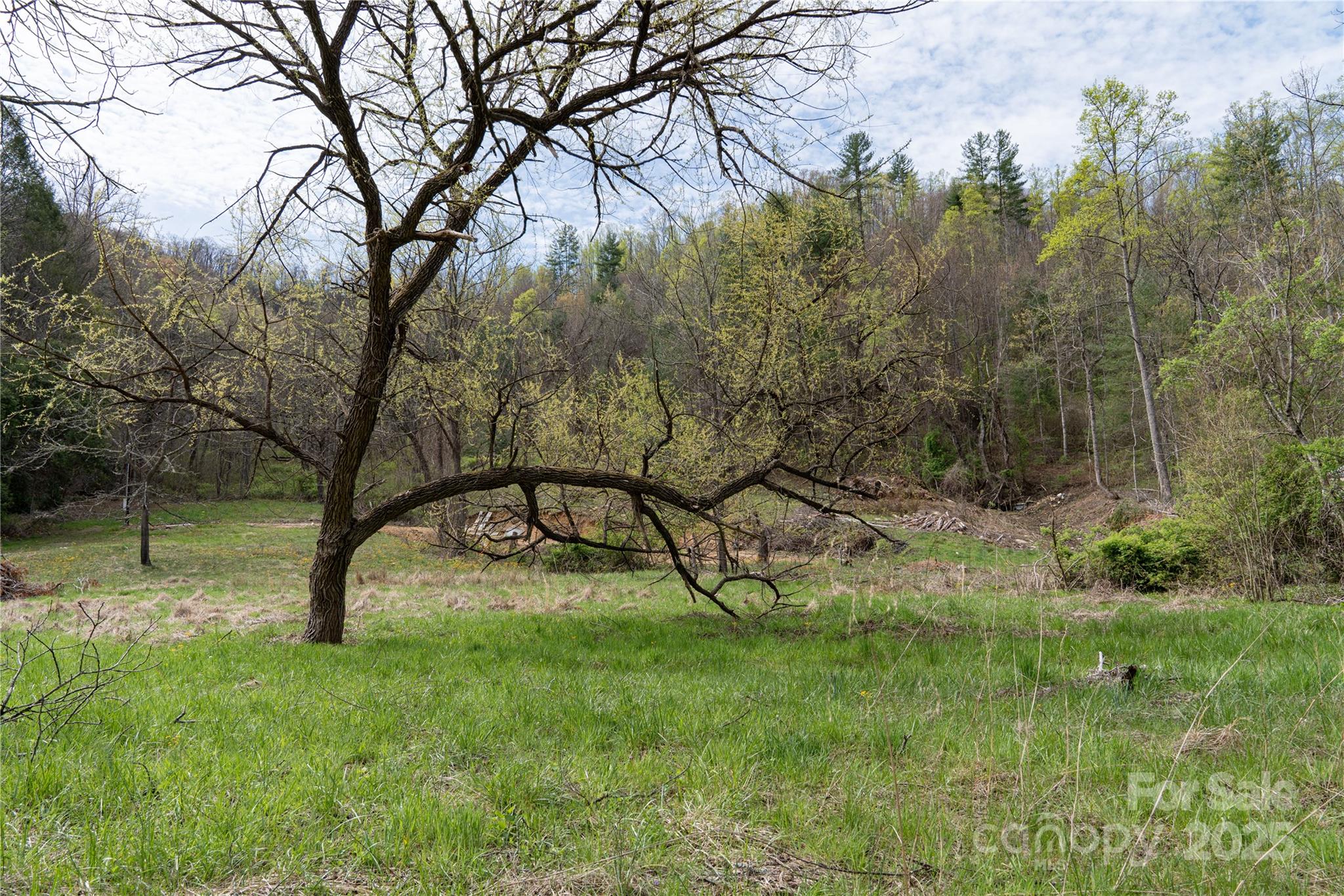 1408 Hamburg Road Property Photo 3