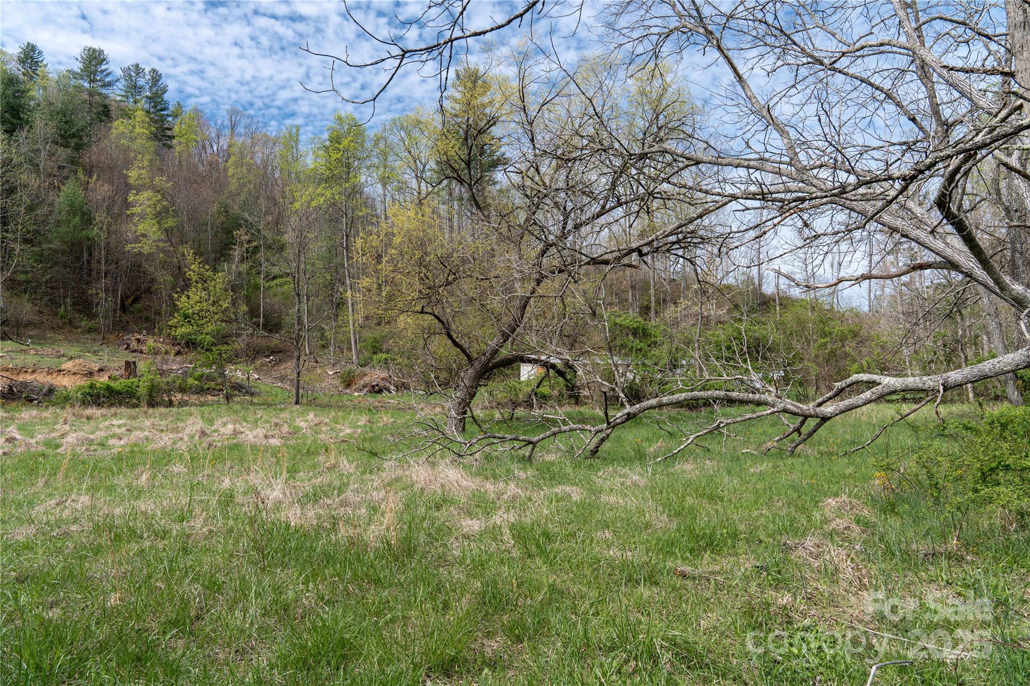 1408 Hamburg Road Property Photo 12