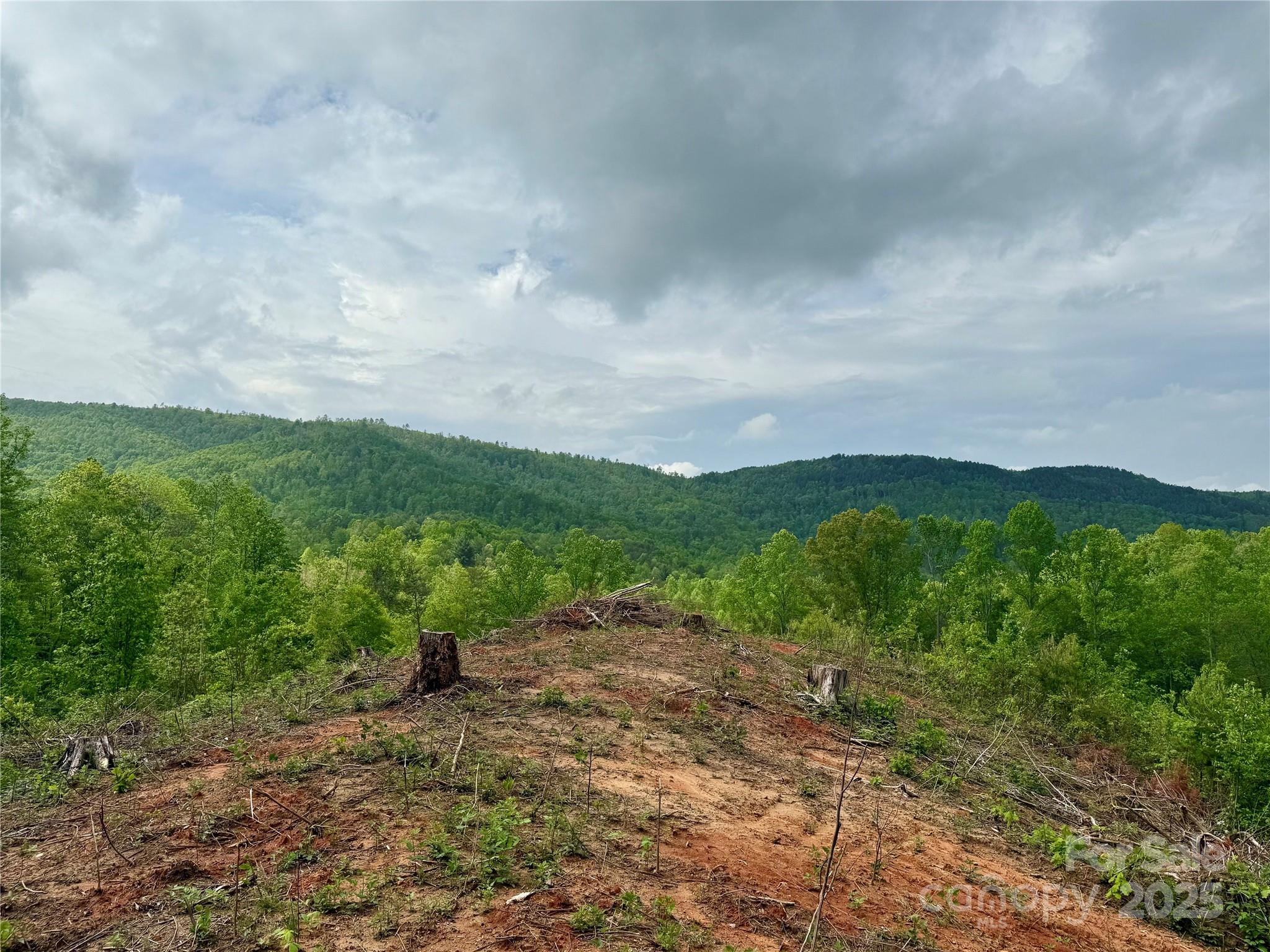 0 Camp Creek Road Property Photo