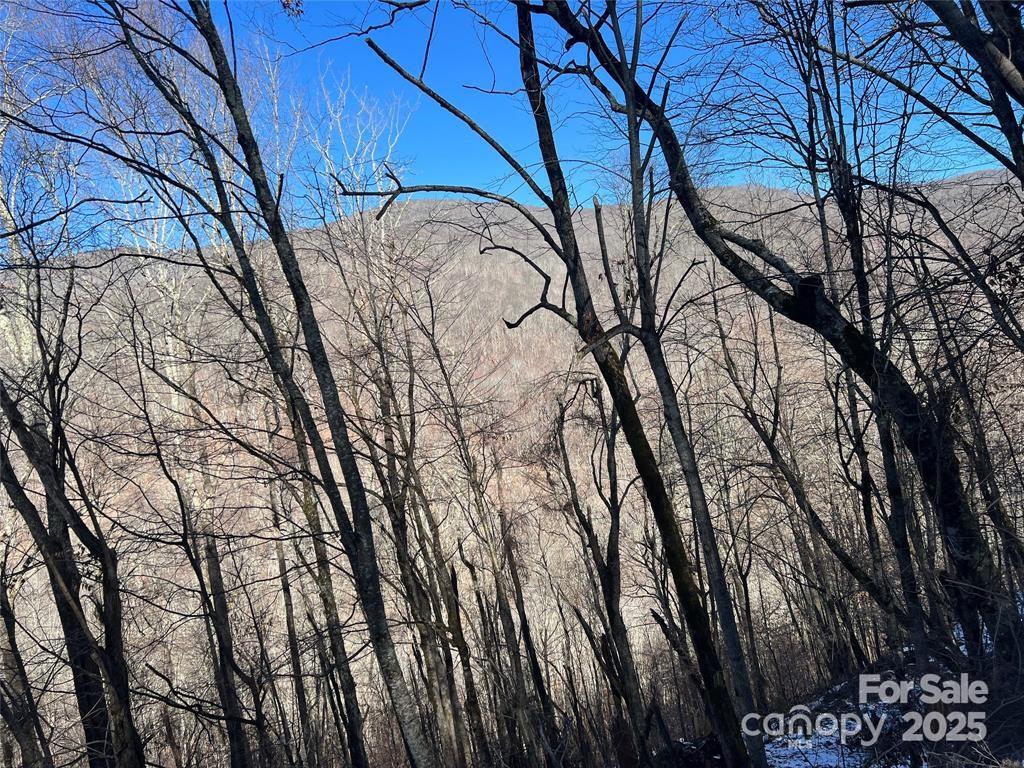 00 Puncheon Lane 149 Property Photo 4