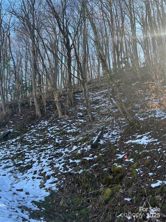 00 Puncheon Lane 149 Property Photo 5