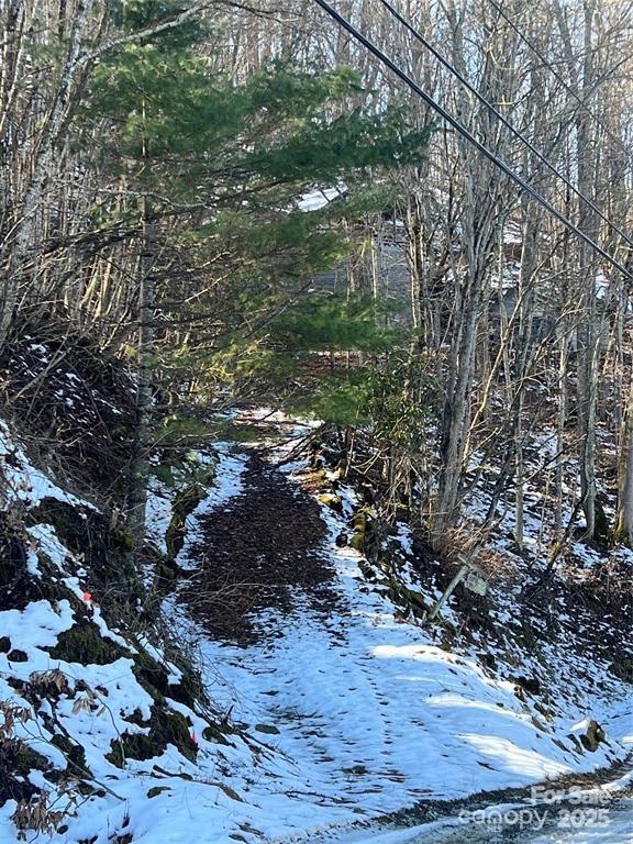 00 Puncheon Lane 149 Property Photo 7