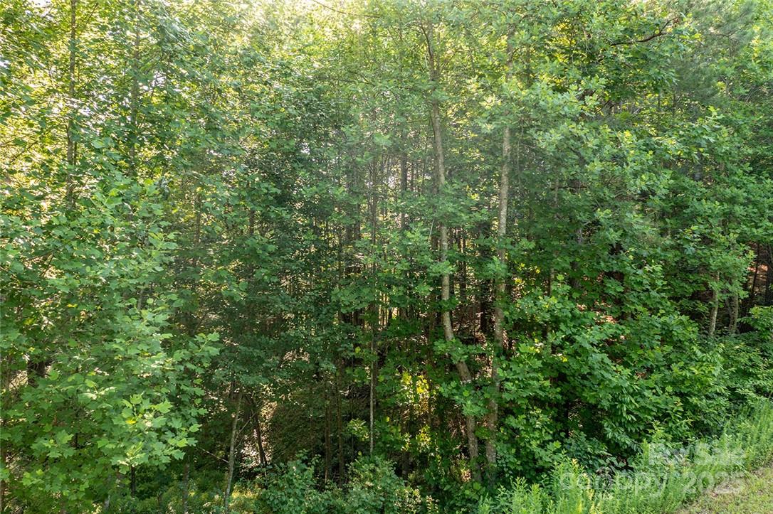 4852 Rio De Luna Drive 31,32, & 33 Property Photo 12