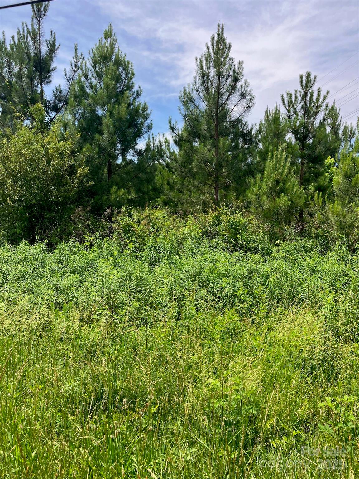 0 Renee Ford Road Property Photo 2
