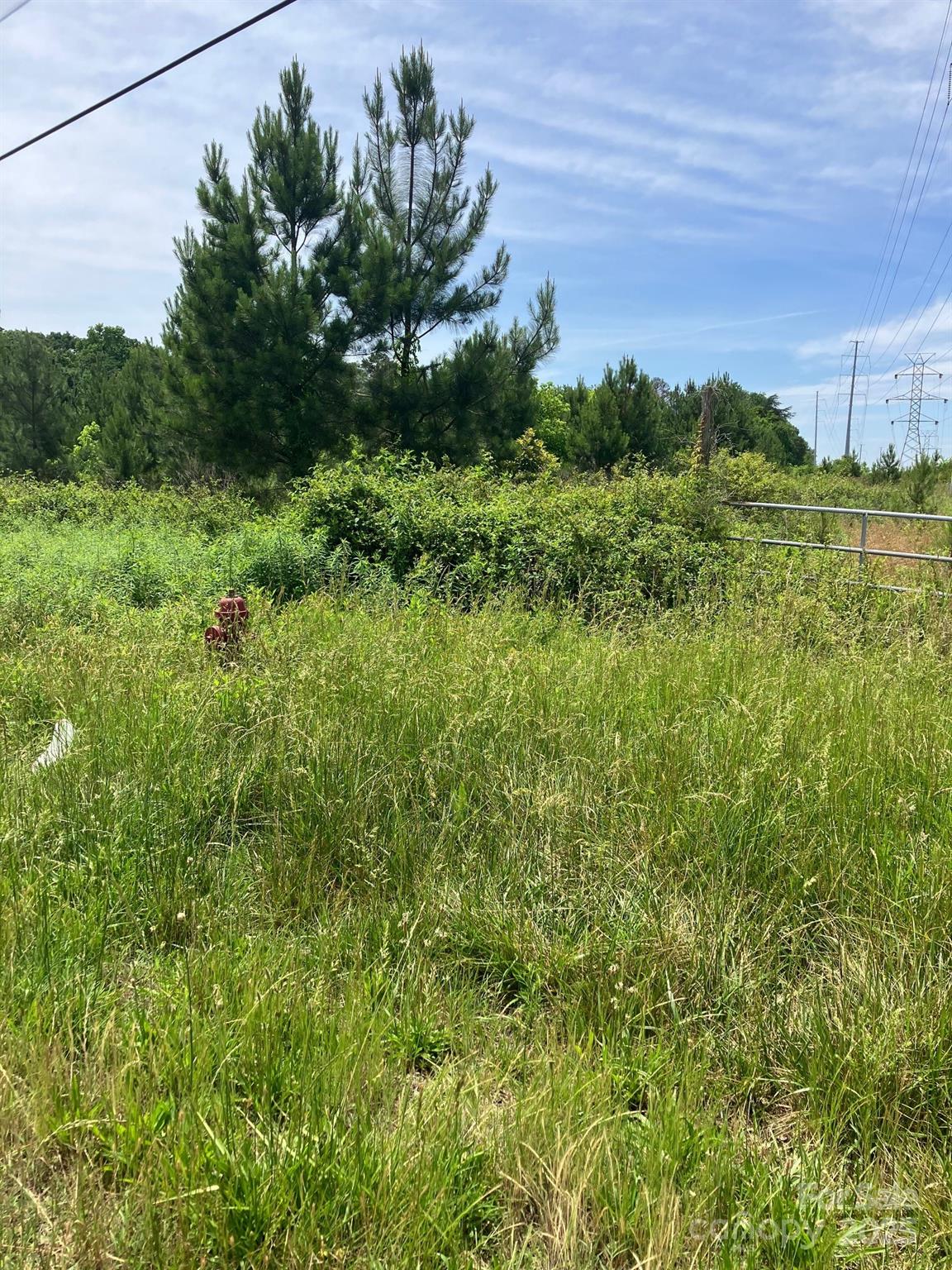 0 Renee Ford Road Property Photo 3