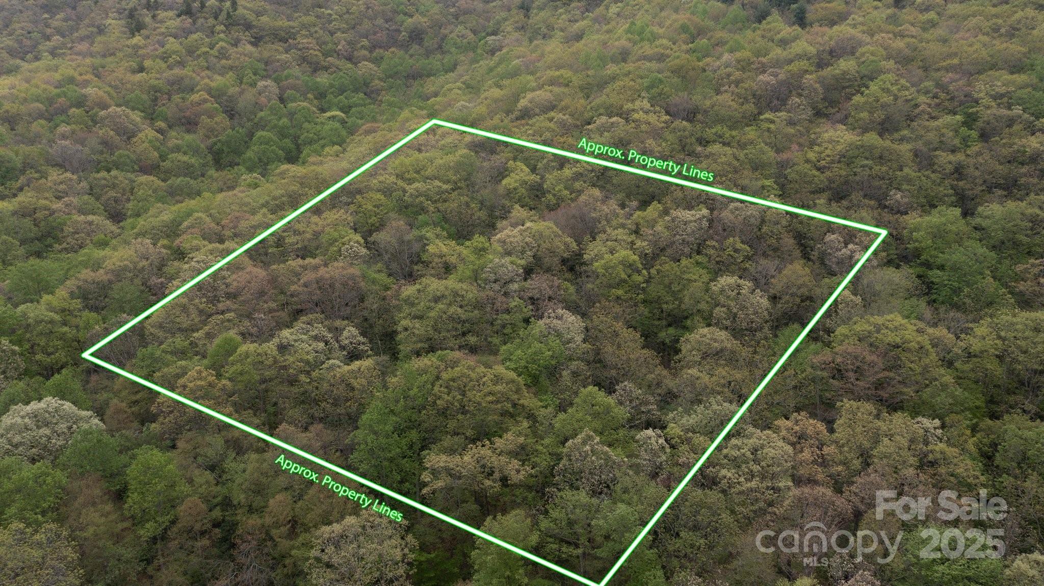 Tbd Clear Creek Road Property Photo 1