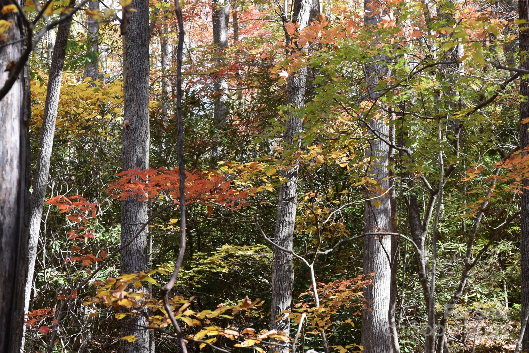 Tbd Clear Creek Road Property Photo 1