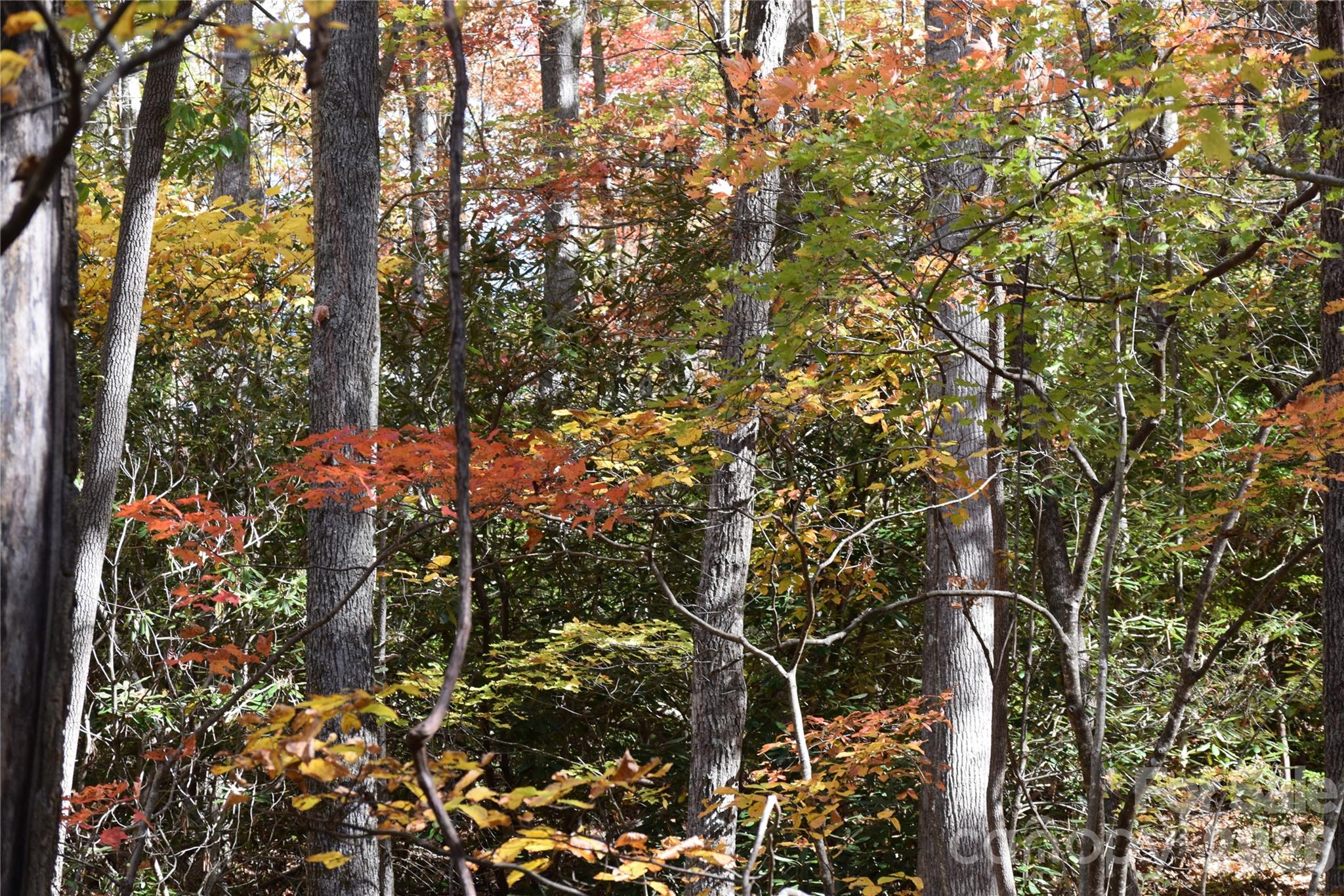 Tbd Clear Creek Road Property Photo 1