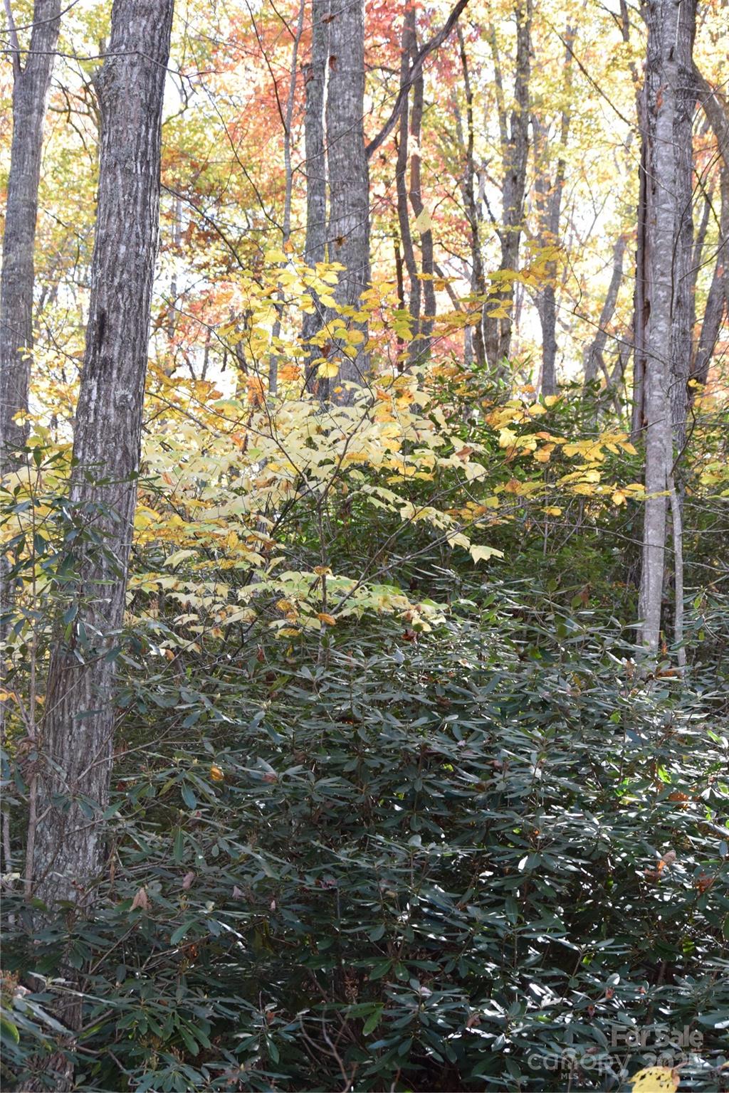 Tbd Clear Creek Road Property Photo 3