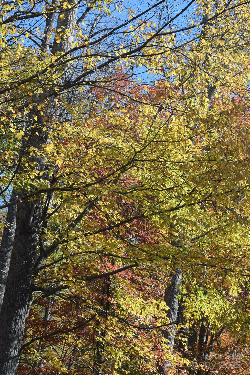 Tbd Clear Creek Road Property Photo 7