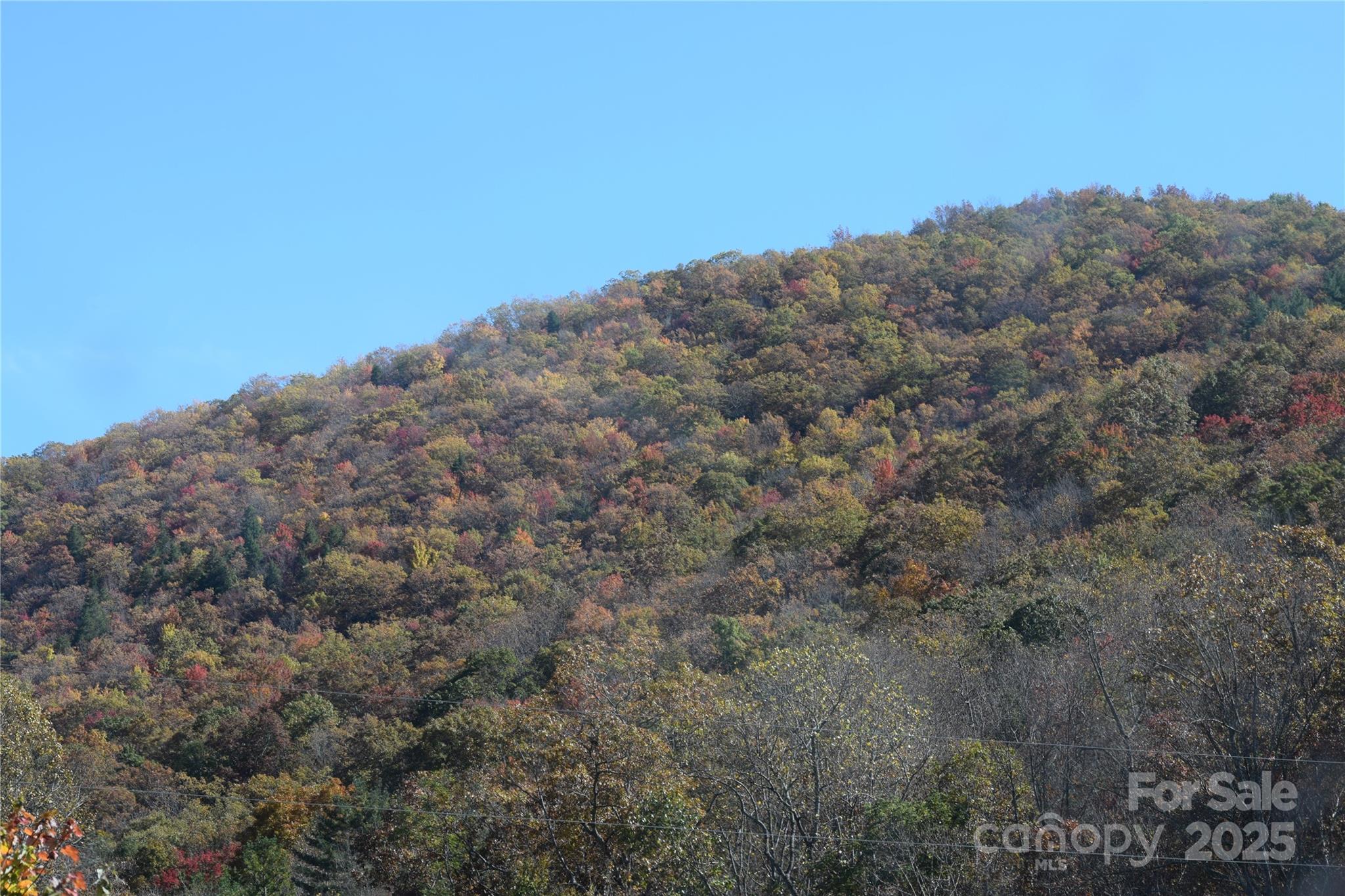 Tbd Clear Creek Road Property Photo 8