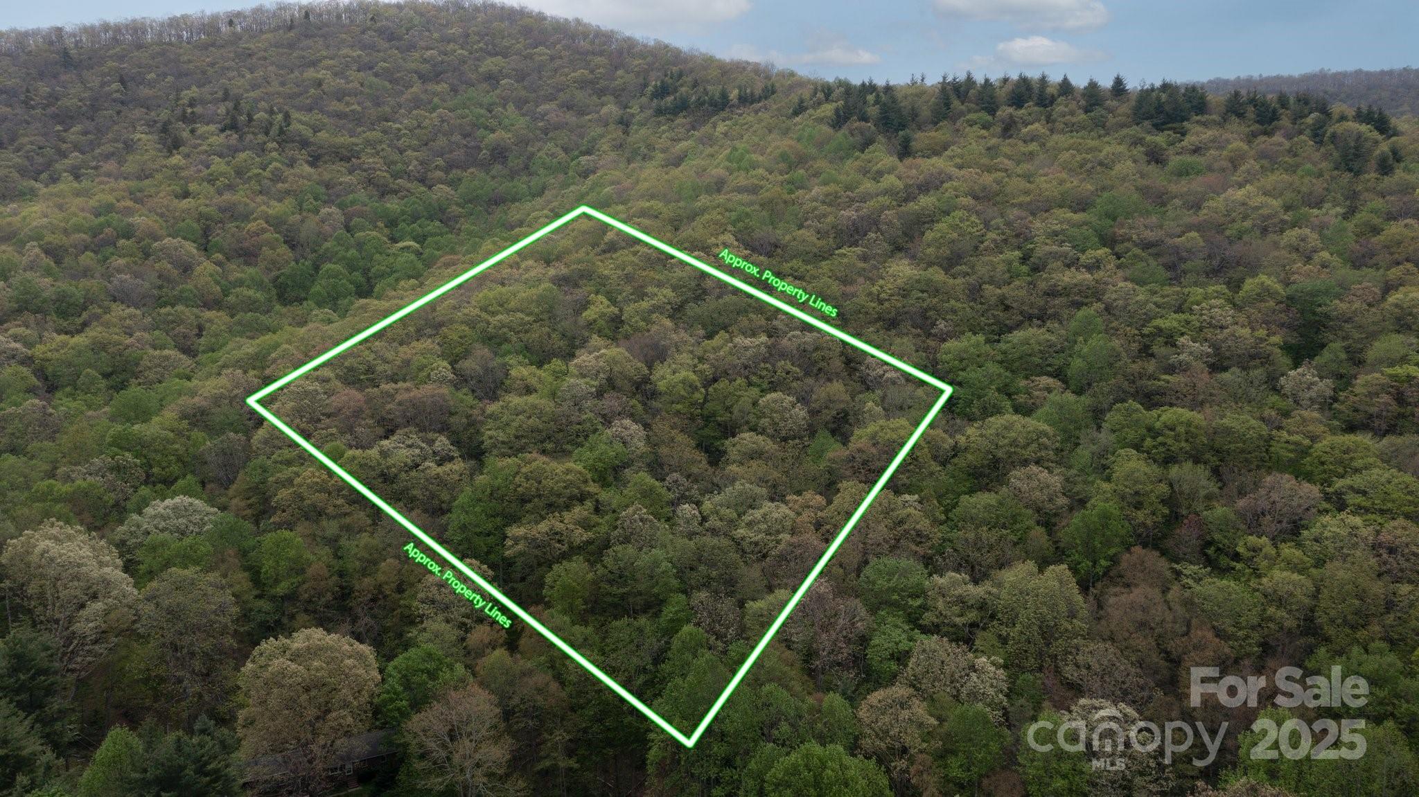 Tbd Clear Creek Road Property Photo 10