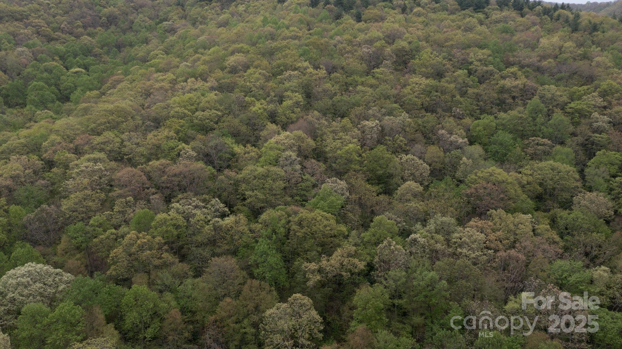 Tbd Clear Creek Road Property Photo 14