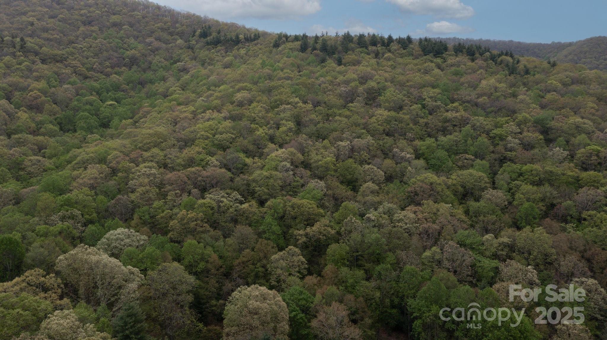 Tbd Clear Creek Road Property Photo 15