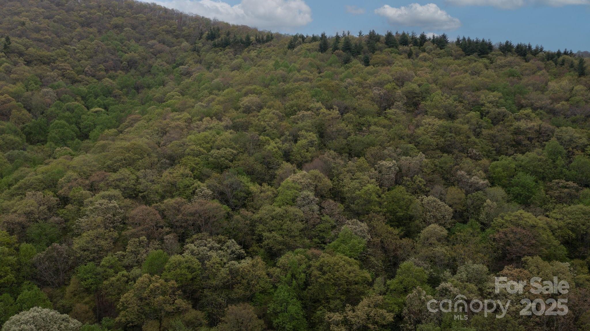 Tbd Clear Creek Road Property Photo 16