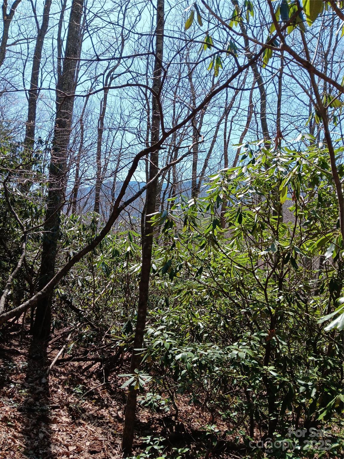 Tbd Clear Creek Road Property Photo 19