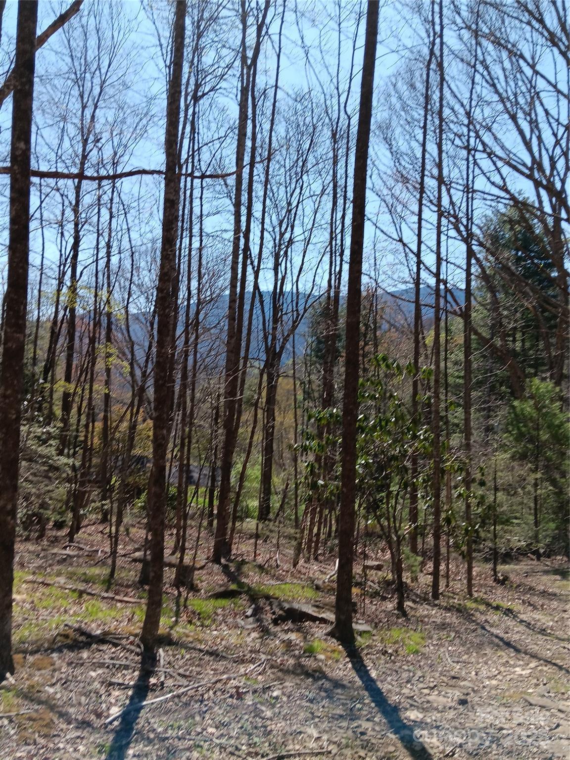 Tbd Clear Creek Road Property Photo 20