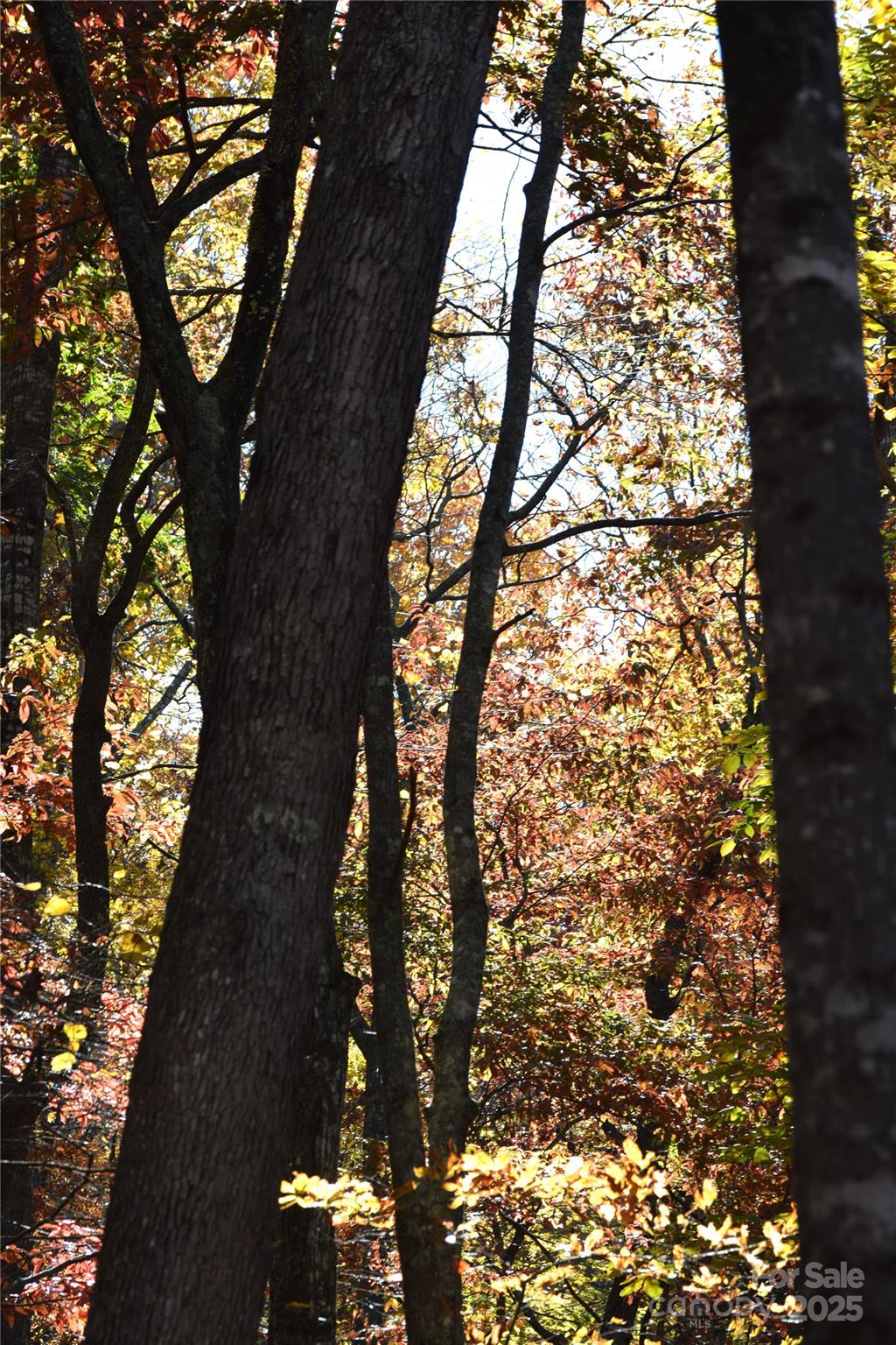 Tbd Clear Creek Road Property Photo 25