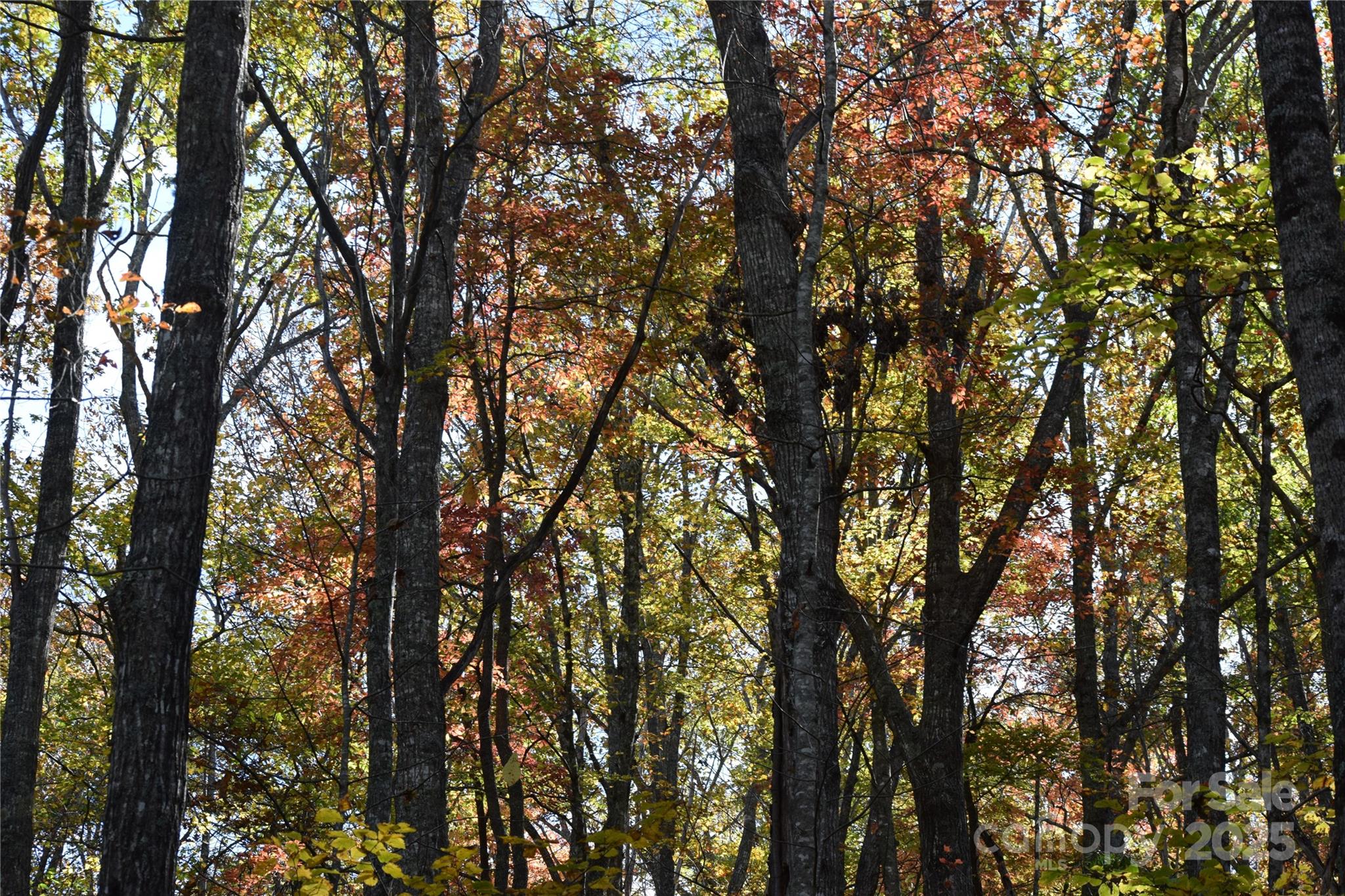 Tbd Clear Creek Road Property Photo 26