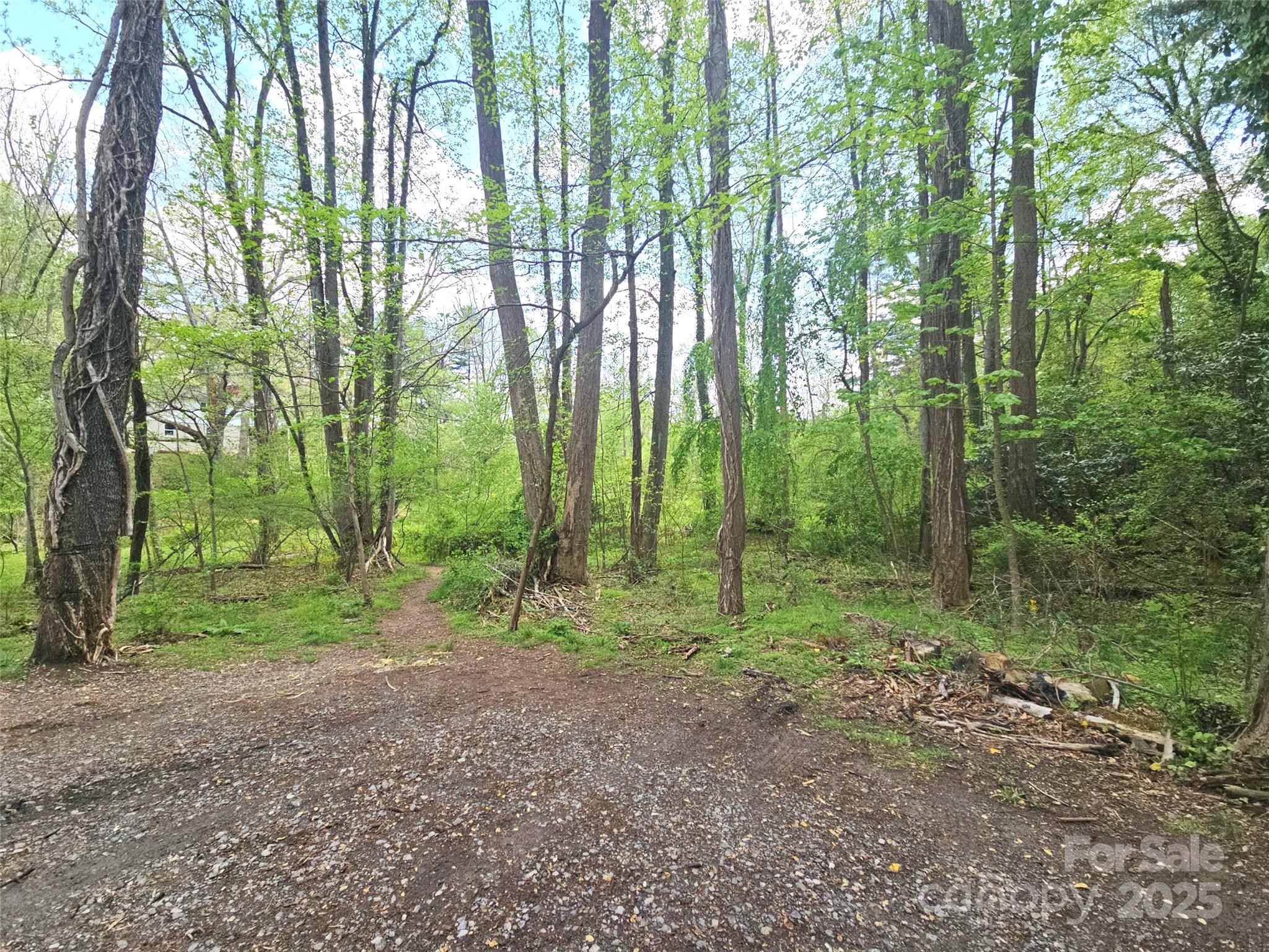 99999 Hillside Terrace Property Photo 4