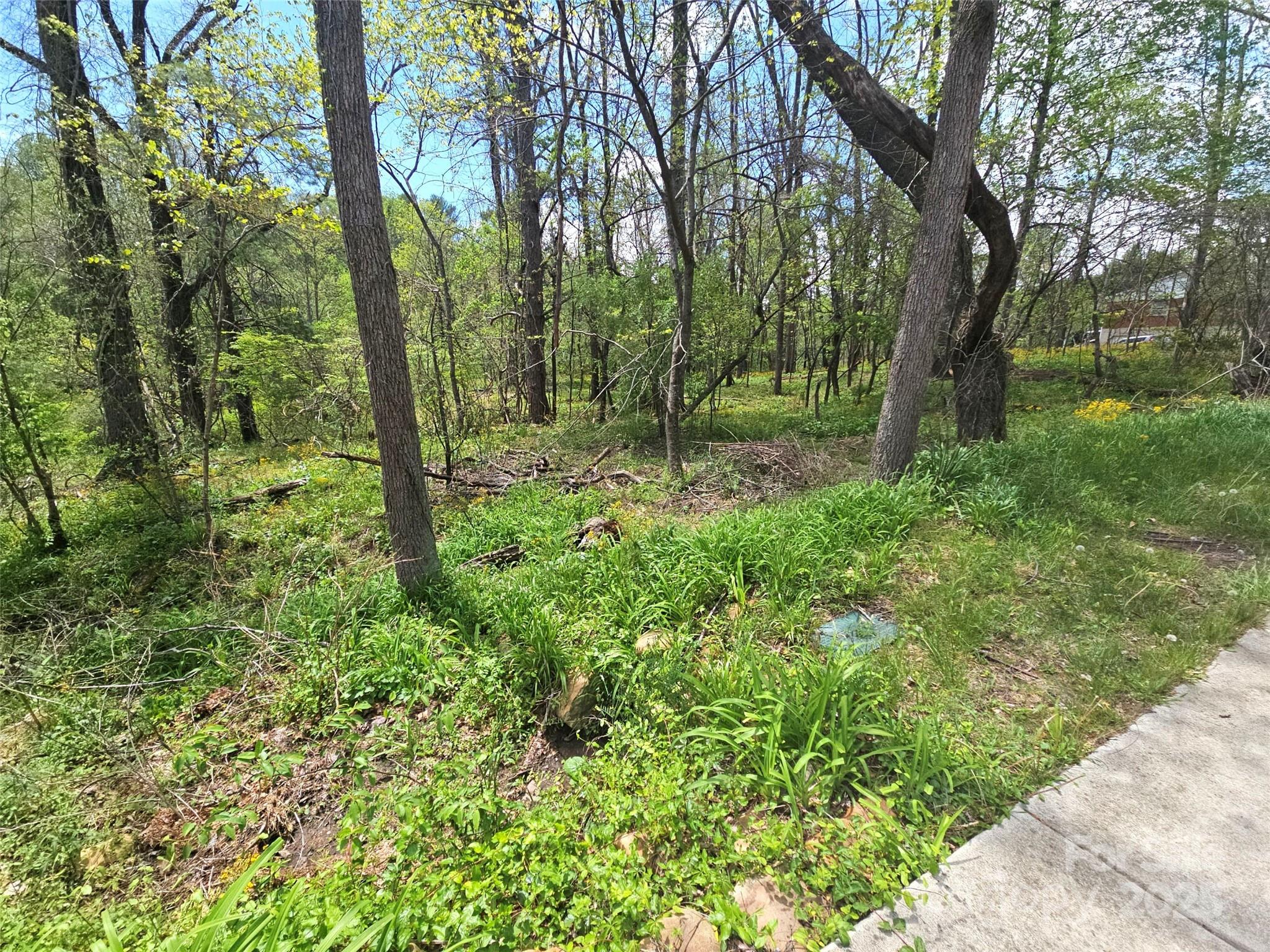 99999 Hillside Terrace Property Photo 13