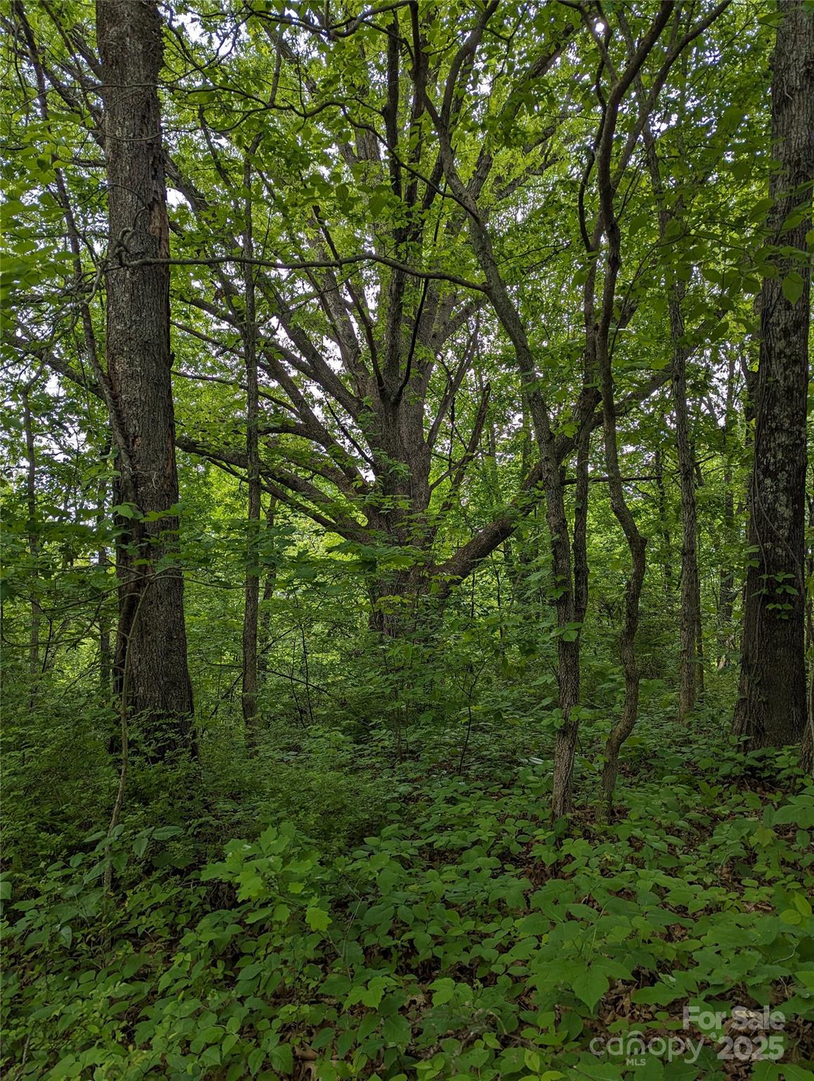 00 White Oak Road Property Photo 2