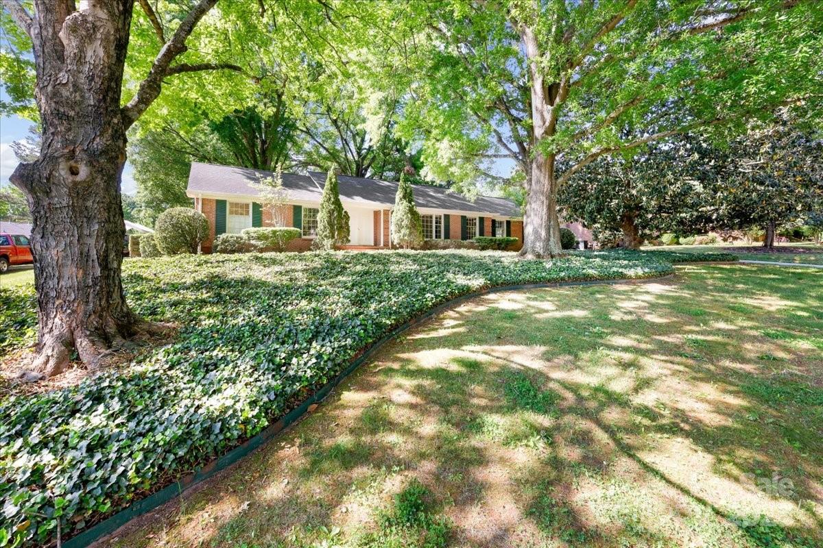 415 Princeton Drive Property Photo 4