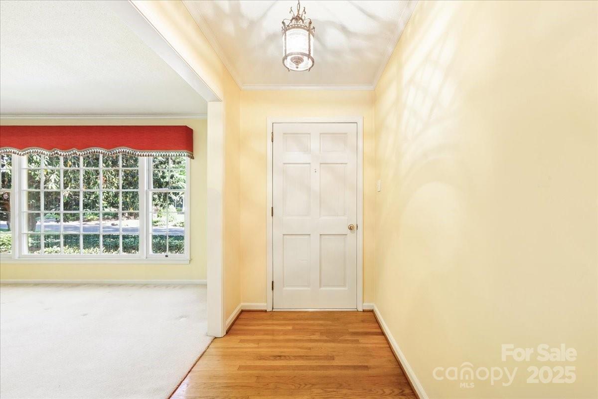 415 Princeton Drive Property Photo 6