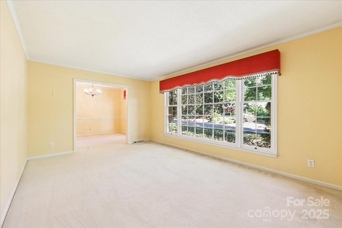 415 Princeton Drive Property Photo 7