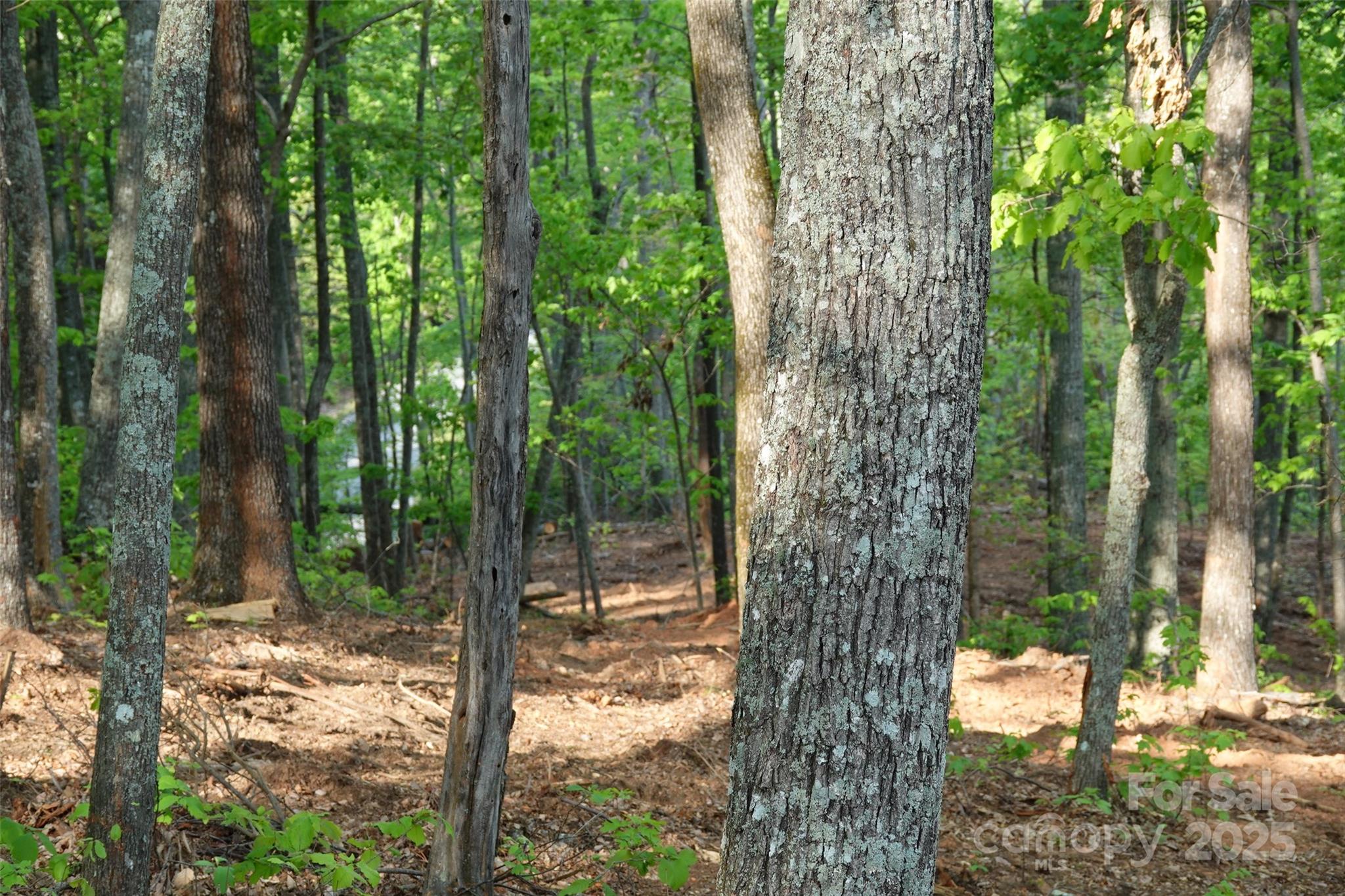 55 Arbra Mountain Way Property Photo 1