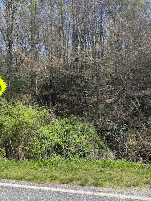 0000 E Fork Road Property Photo