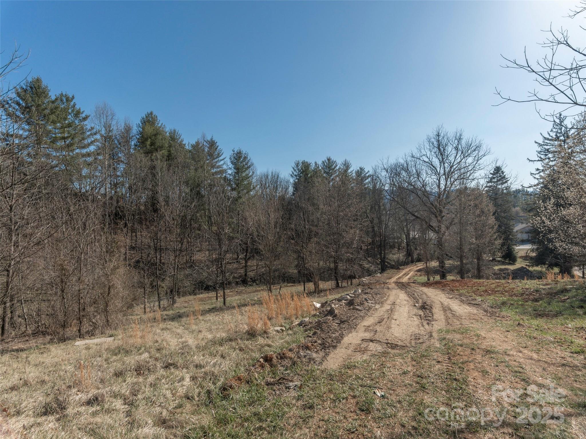 74 Buckeye Cove Road Property Photo 3