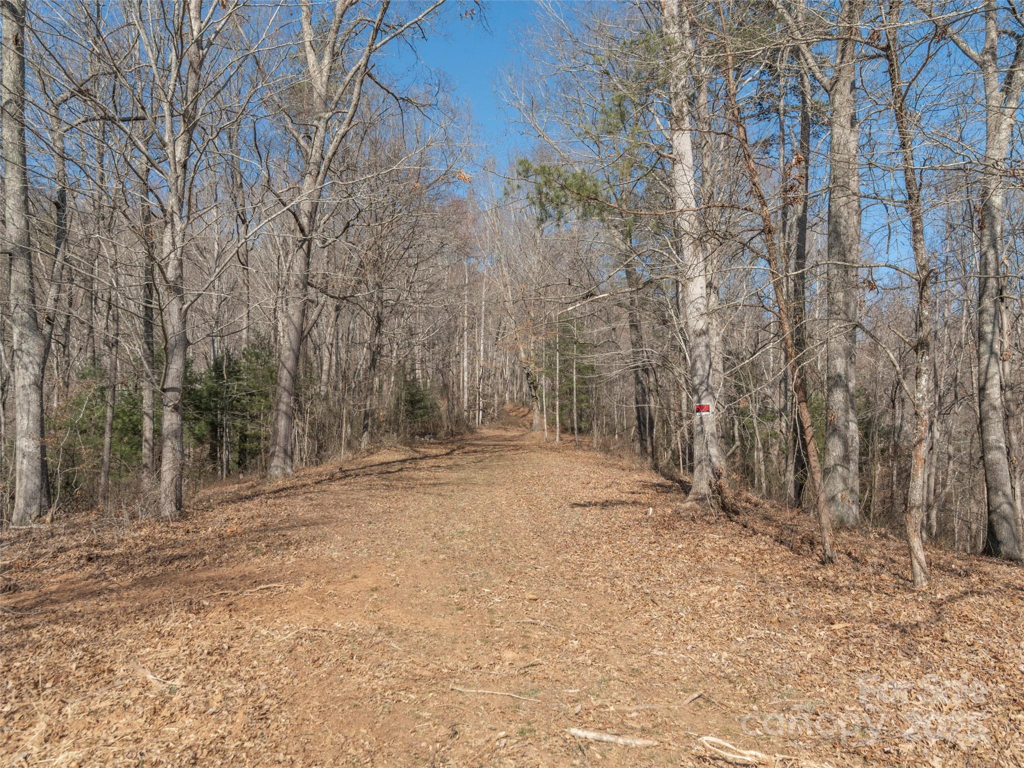 74 Buckeye Cove Road Property Photo 4