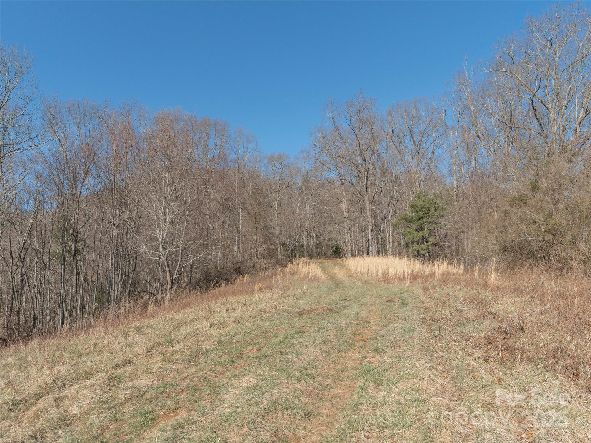74 Buckeye Cove Road Property Photo 6