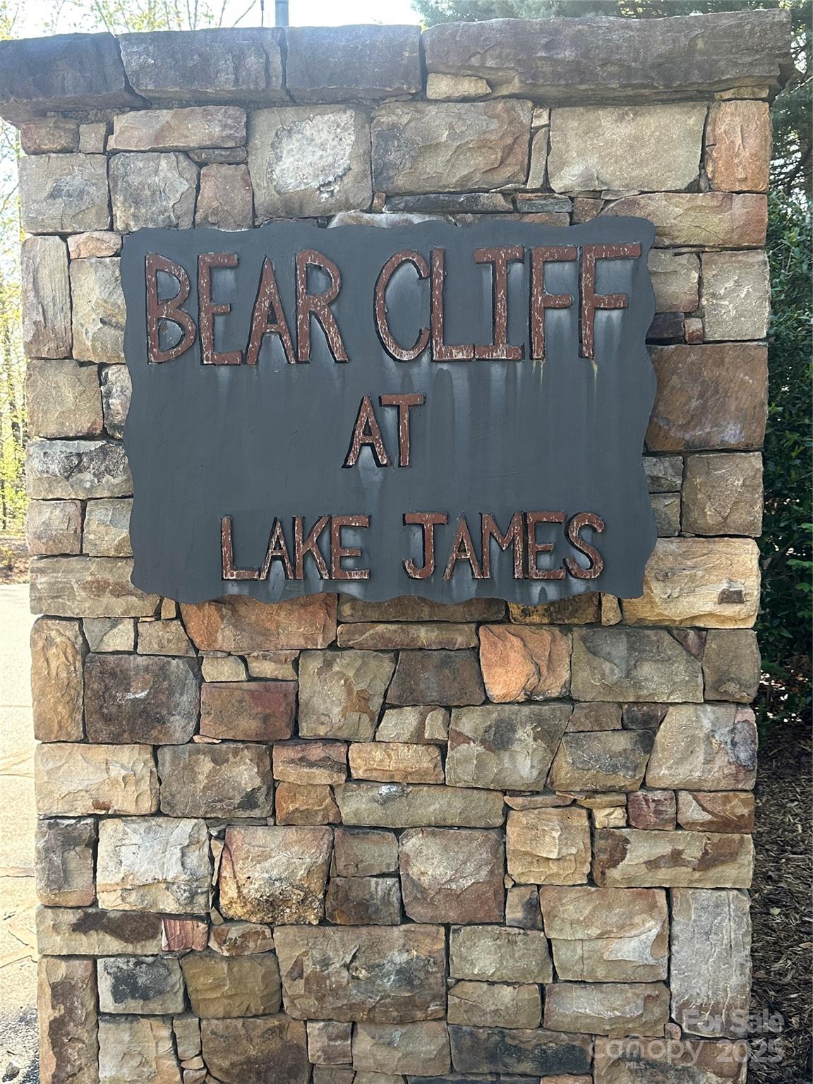 Vacant Lot 15 Lake Crest Drive 15 Property Photo 3