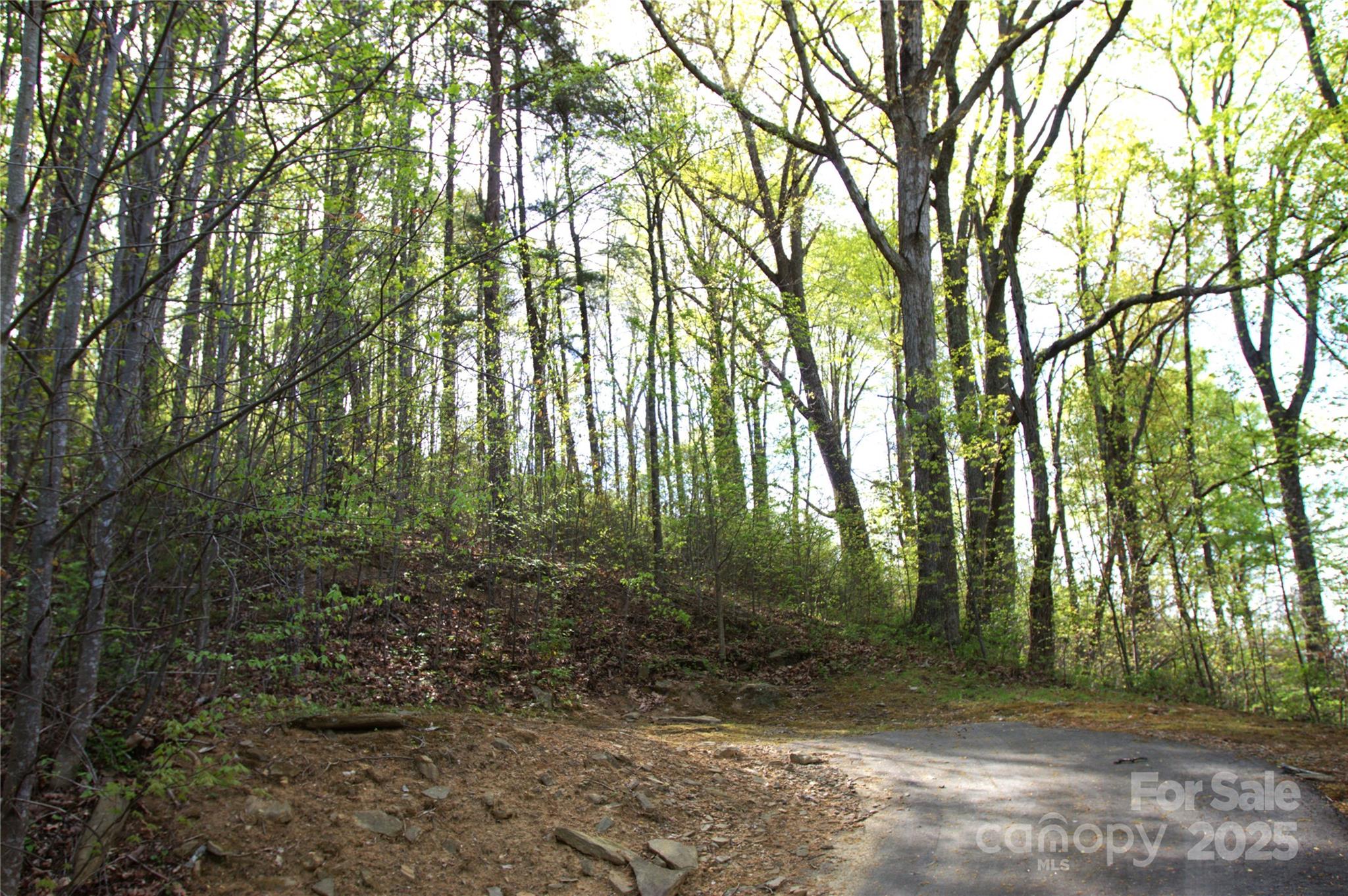 58 Ashewood Mountain Way Property Photo