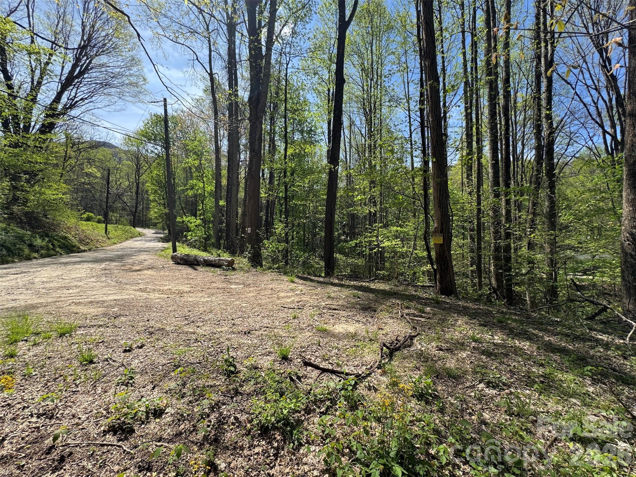Tbd (b) Browning Branch Road Property Photo 1