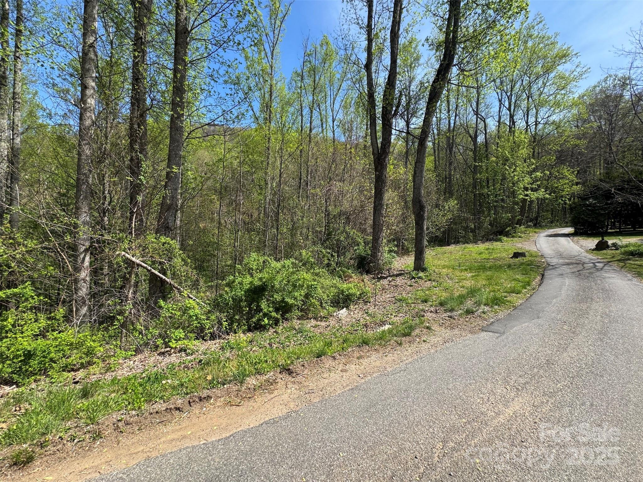 Tbd (b) Browning Branch Road Property Photo 3