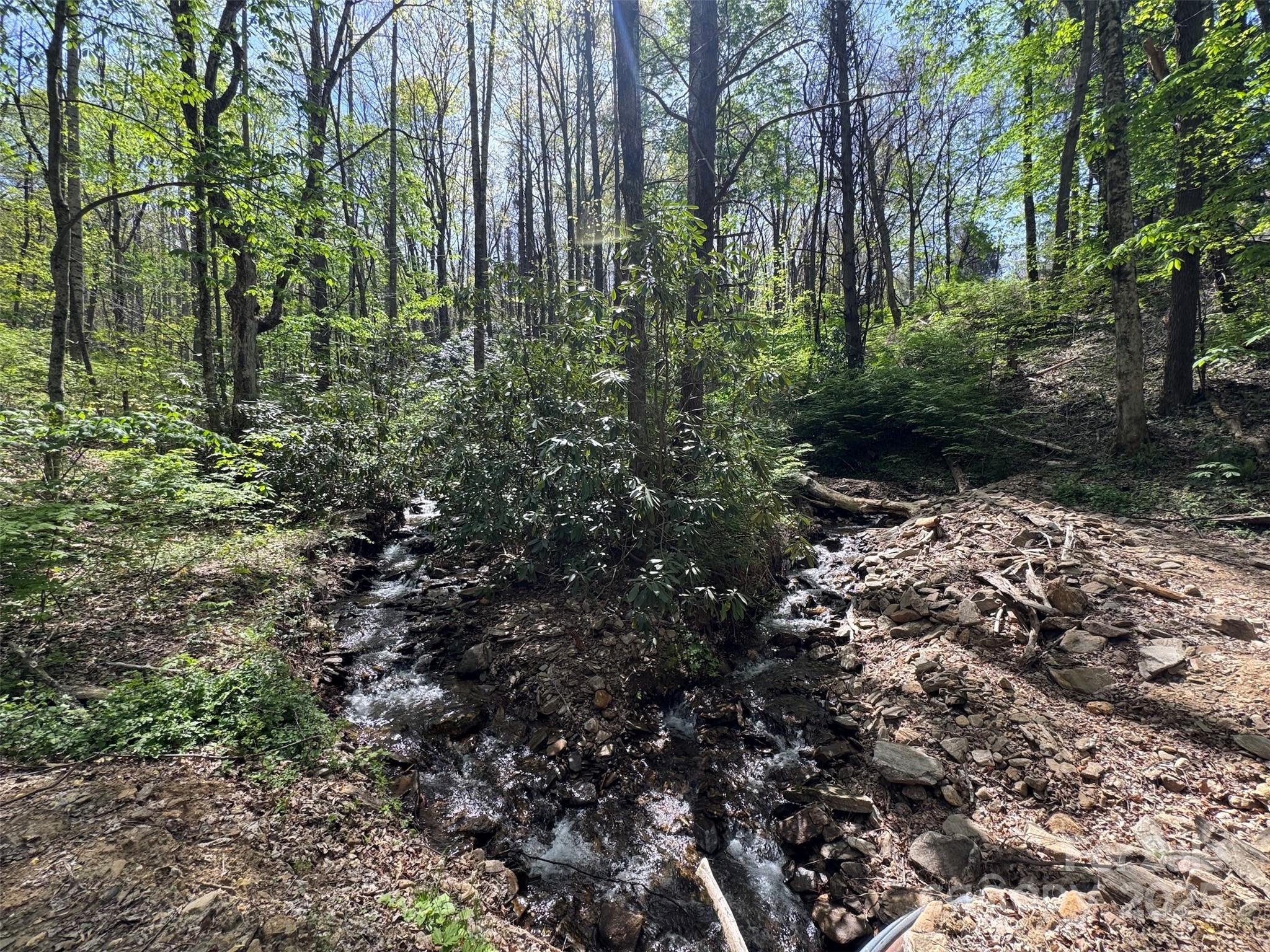 Tbd (b) Browning Branch Road Property Photo 4