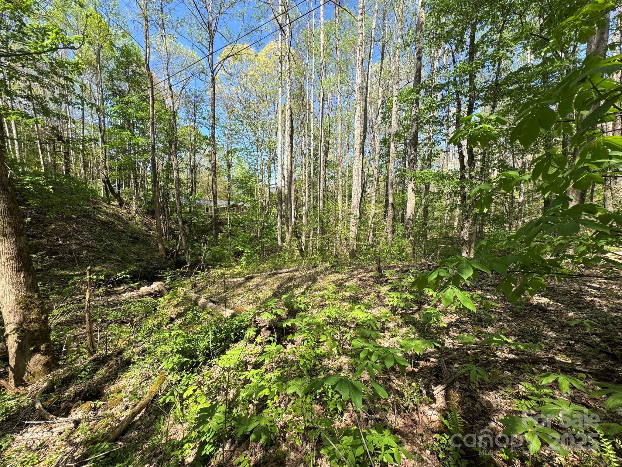 Tbd (b) Browning Branch Road Property Photo 5