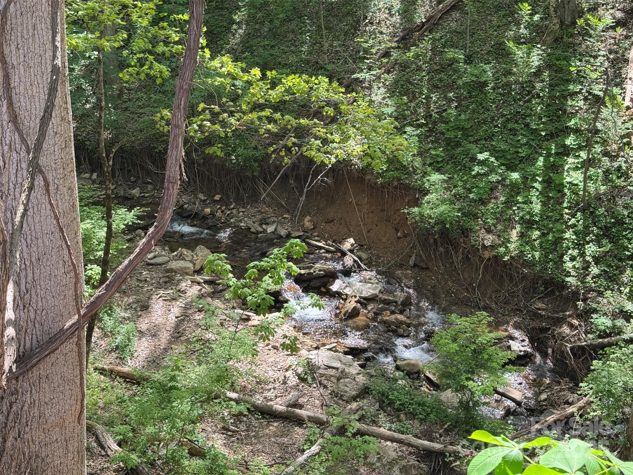 Tbd (b) Browning Branch Road Property Photo 7