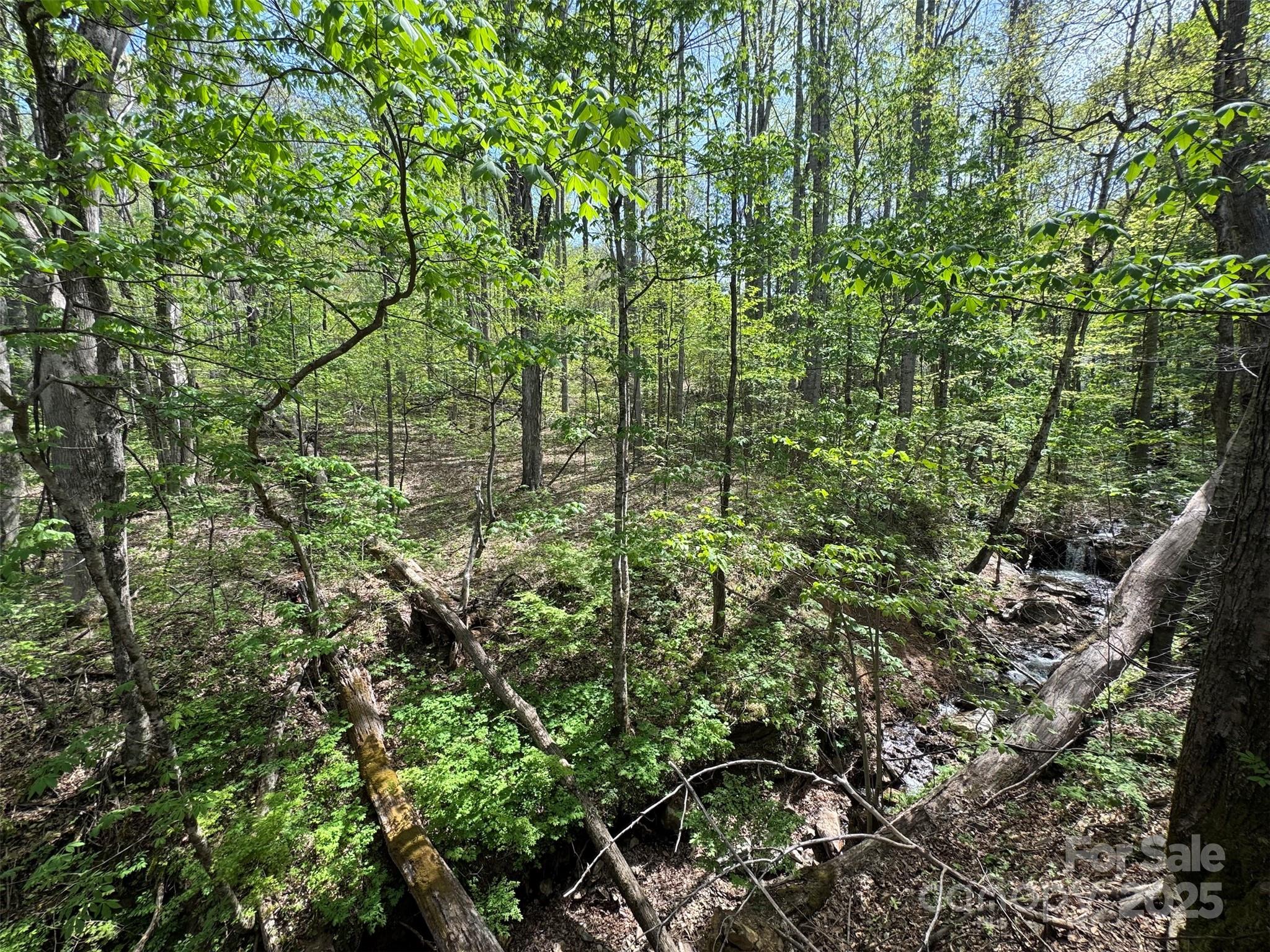 Tbd (b) Browning Branch Road Property Photo 10