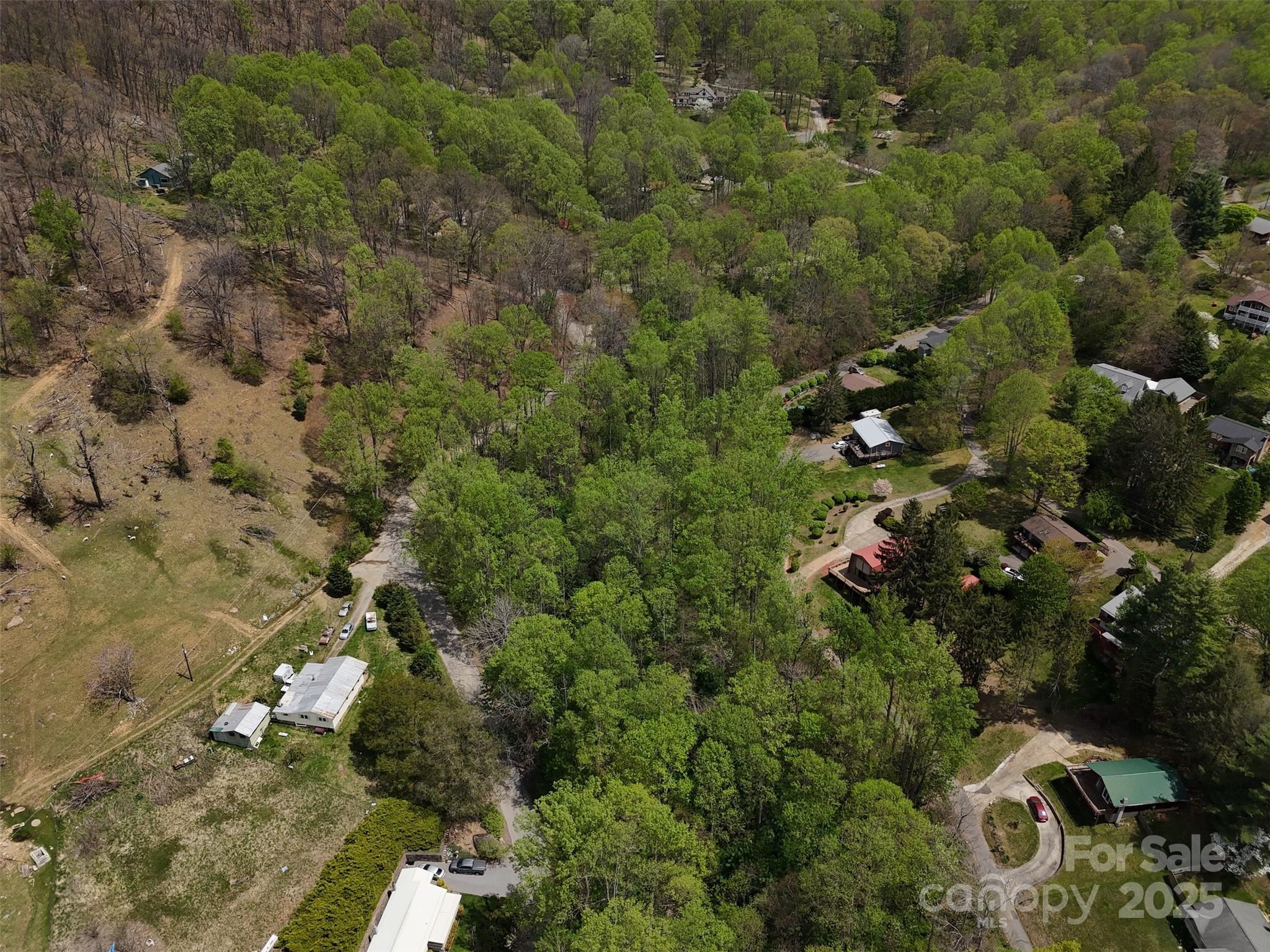 Tbd (b) Browning Branch Road Property Photo 11