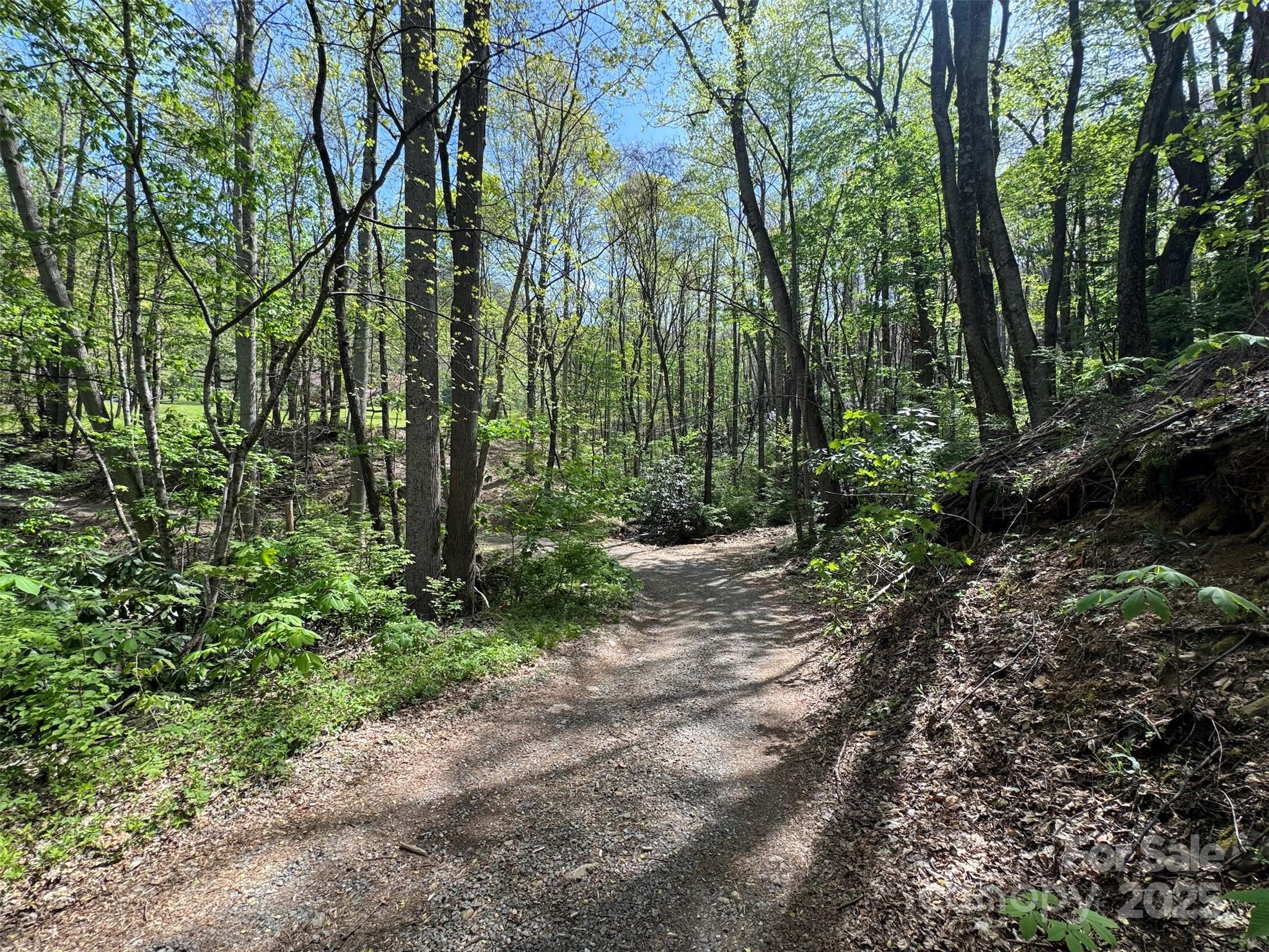 Tbd (b) Browning Branch Road Property Photo 13