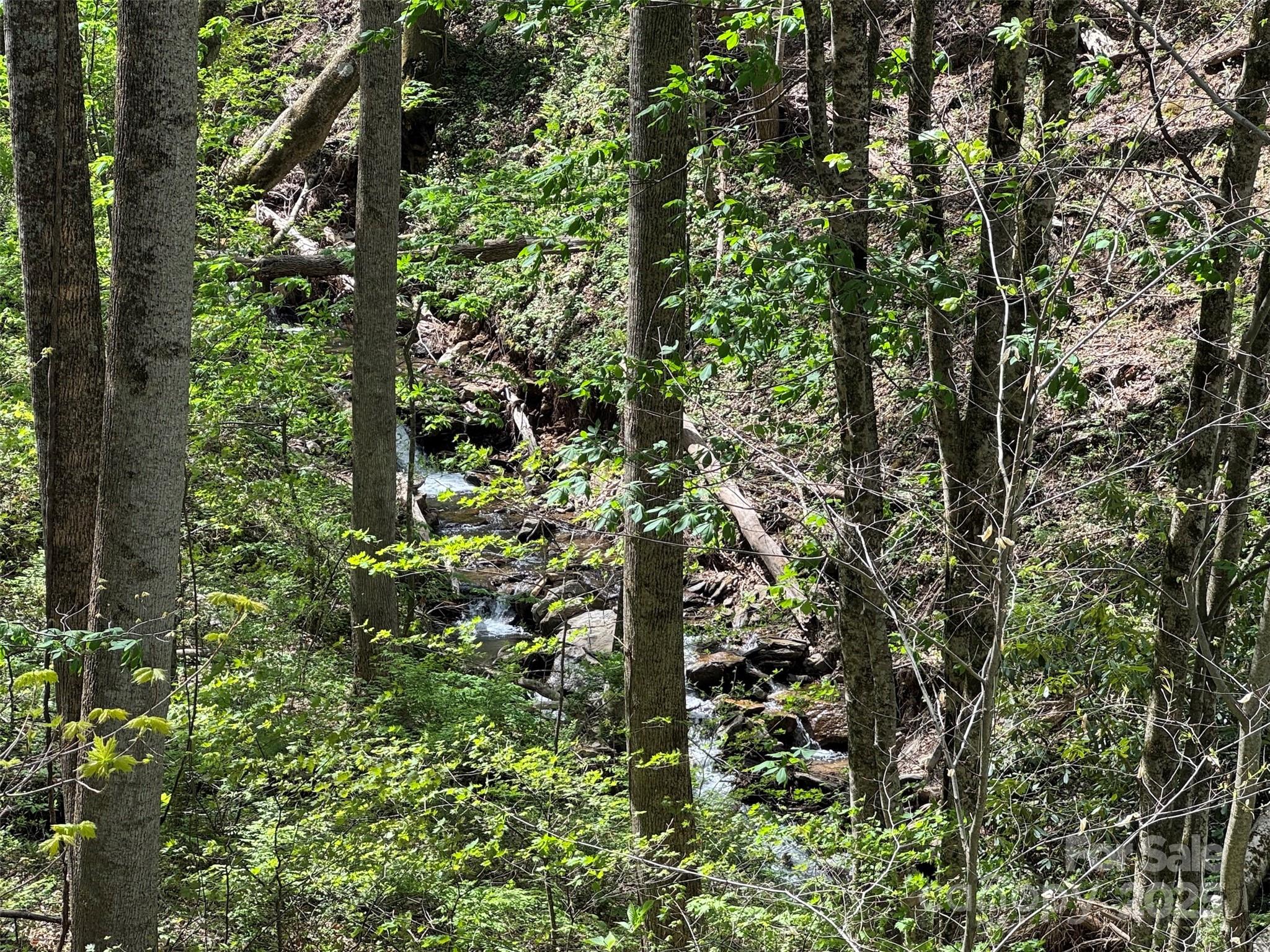 Tbd (b) Browning Branch Road Property Photo 14